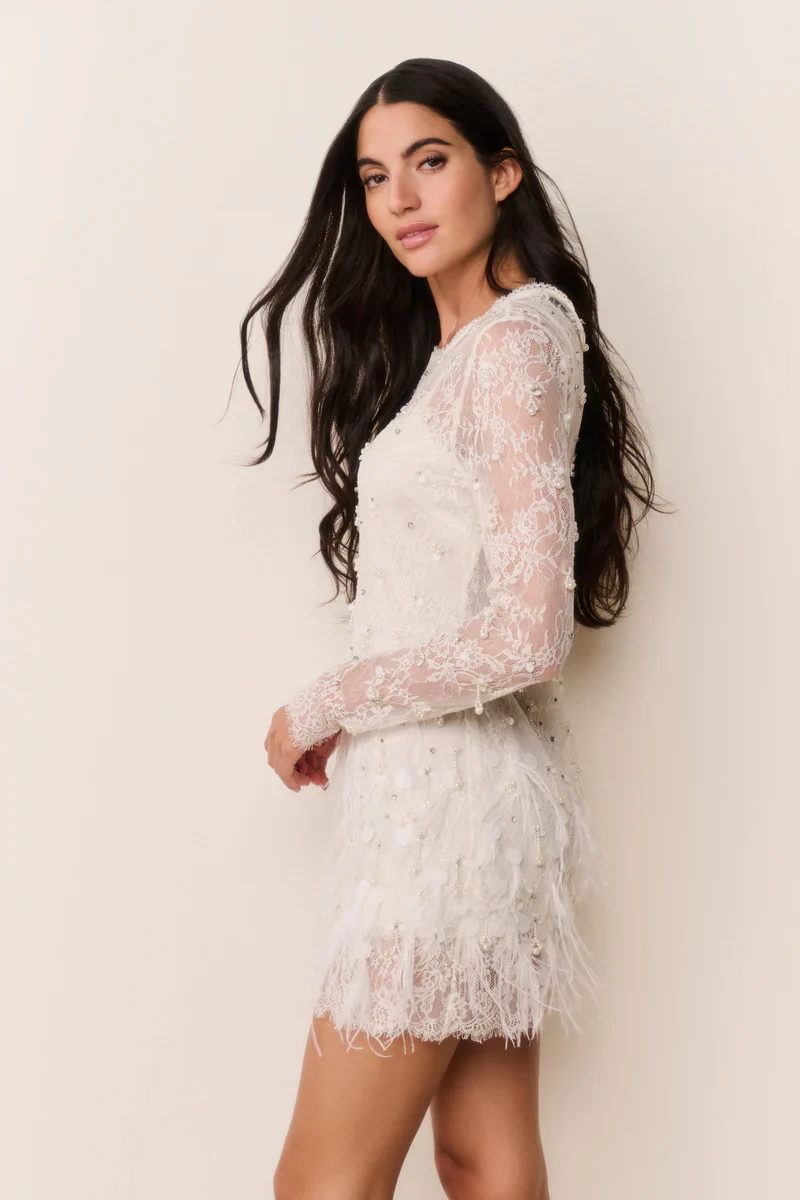 Alouetta Embellished Lace Mini Dress - Image 4