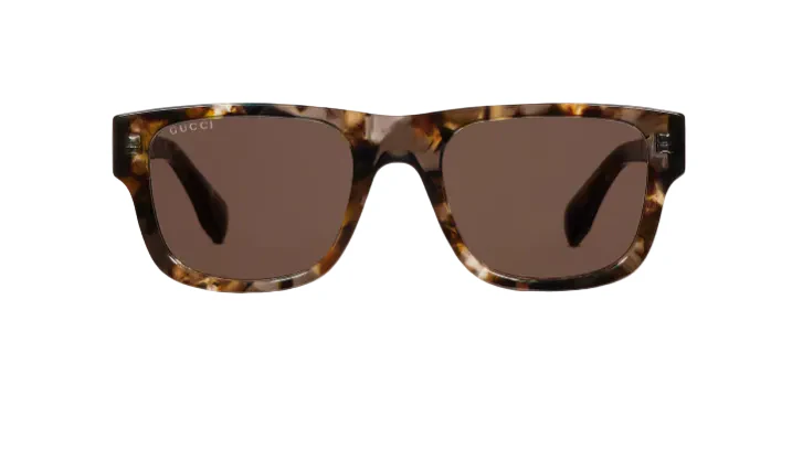 GG2009S - 001