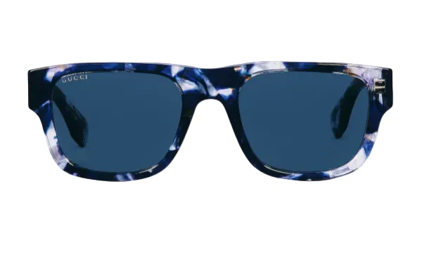 GG2009S-002