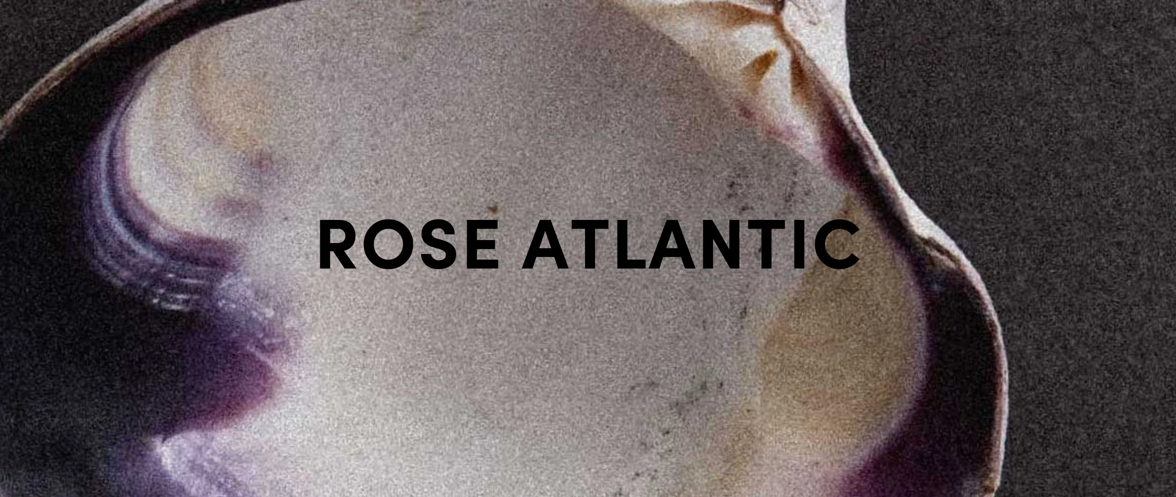 Rose Atlantic Eau de Parfume 50ml - Image 3